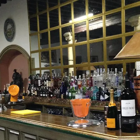 Casa Palacio Pilar Del Toro Hotel Granada